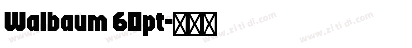 Walbaum 60pt字体转换